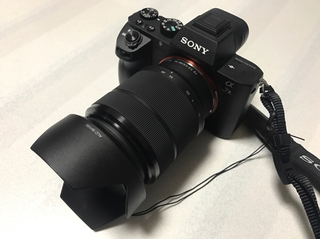本体の写真